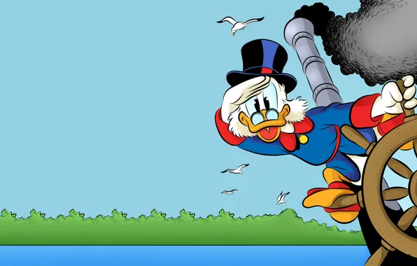 Water, birds, seagulls, the wheel, disney, Scrooge McDuck, Ducktales, DuckTales