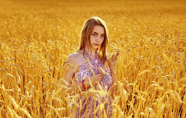 Picture girl, dress, ears, Aliona Turcan, Vyacheslav Turcan