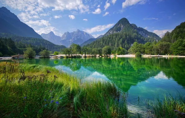 Trees, mountains, lake, reflection, Slovenia, Slovenia, Kranjska Gora, Lake Jasna