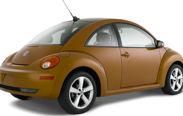 Beetle, volkswagen, hatchback, beetle