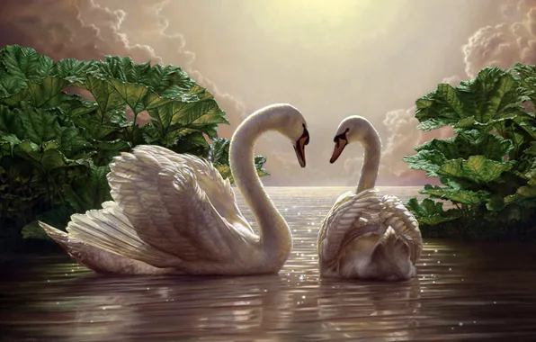 The sky, birds, romance, pair, white, painting, swans