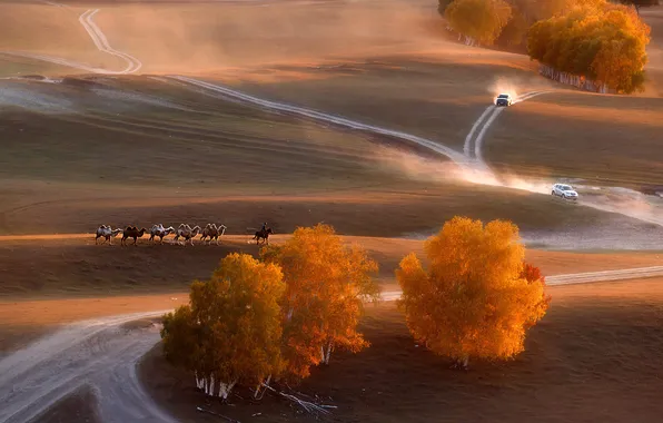 Road, field, autumn, light, trees, machine, nature, fog