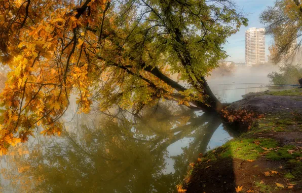 Picture autumn, landscape, nature, pond, tree, home, fisherman, Alexander Plekhanov