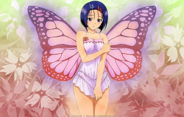 Look, rose, Girl, dress, embarrassment, the wings of a butterfly, Love trouble, Sairenji Haruna