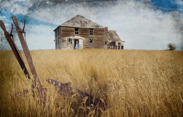 Field, girl, house, style