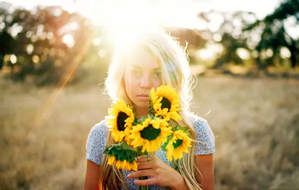 Rays, light, flowers, sunflower, blonde