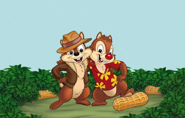 Picture cartoon, disney, chipmunks, Chip and Dale