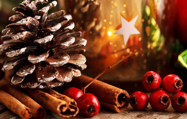 Leaves, berries, holiday, sticks, New Year, Christmas, red, the scenery