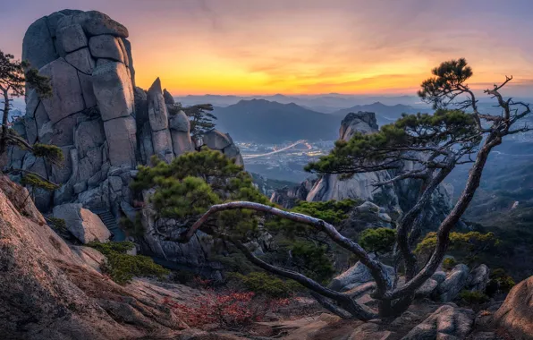 The sky, mountains, branches, fog, stones, tree, rocks, dawn