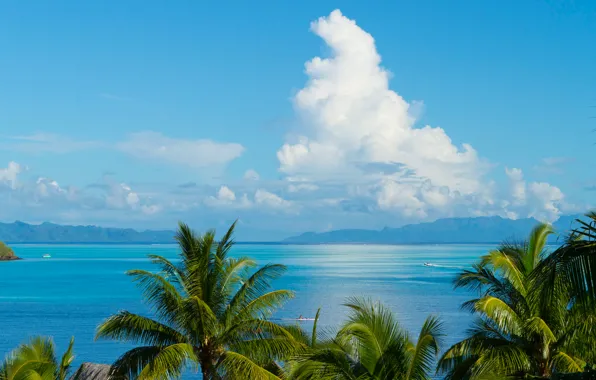 Picture sea, clouds, mountains, palm trees, The Pacific ocean, French Polynesia, the island of Tahiti