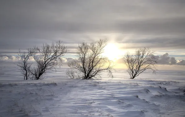Picture cold, winter, morning