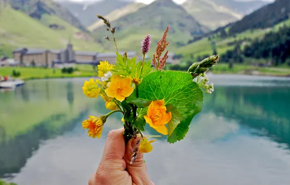 Picture flowers, mountains, lake, bouquet, spring