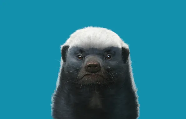 Mustache, figure, minimalism, badger, wallace, honey badger