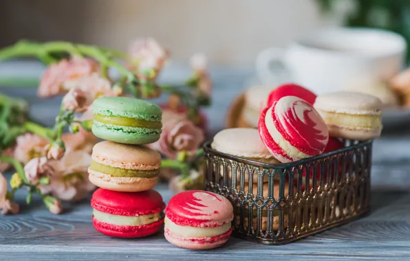 Colorful, cookies, macarons, Roman Kosolapov