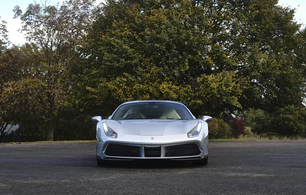 Ferrari, 2018, 488, Ferrari 488 GTB "The Wedding Gift"