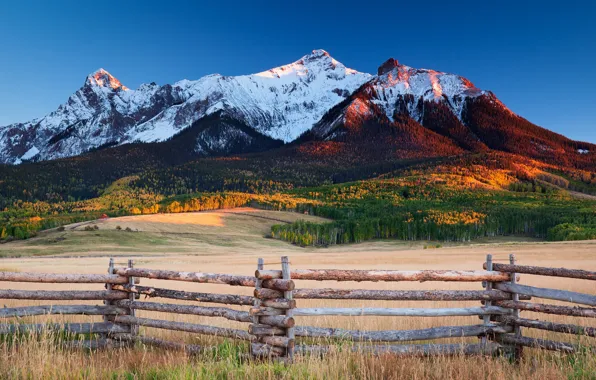 Field, autumn, forest, grass, snow, mountains, blue, hills