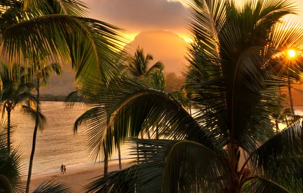 Wallpaper mountains, sand, sea, beach, pair, view, palm trees, beauty