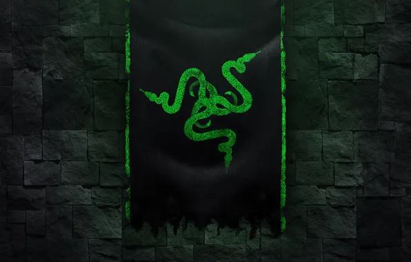 The dark background, the game, logo, technology, Razer, wall