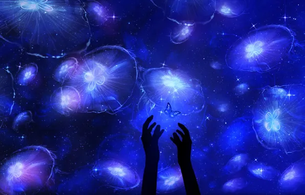 Butterfly, hands, jellyfish