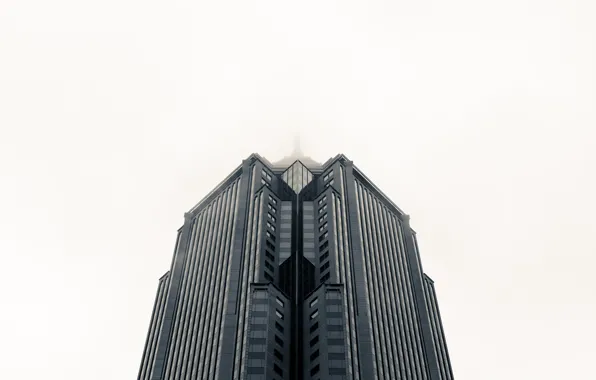 Picture fog, photo, background, skyscraper, background, skyscraper, fog, skyscraper