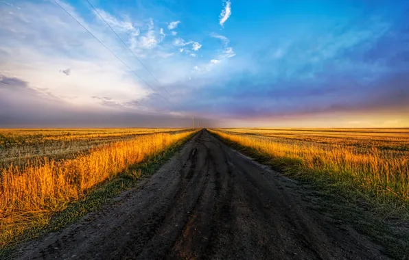 Road, field, the sky, 152, tables