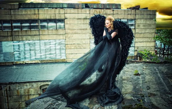 Picture BLONDE, WINGS, DRESS, FABRIC, BLACK, ANGEL