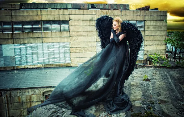 BLONDE, WINGS, DRESS, FABRIC, BLACK, ANGEL