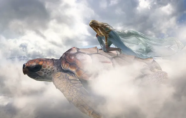 Picture girl, clouds, turtle
