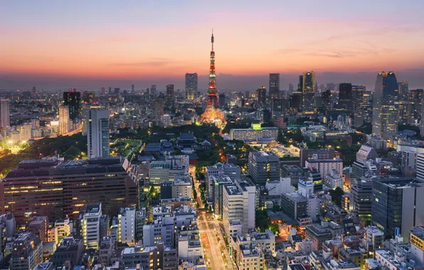 The city, lights, building, road, skyscrapers, the evening, Japan, backlight