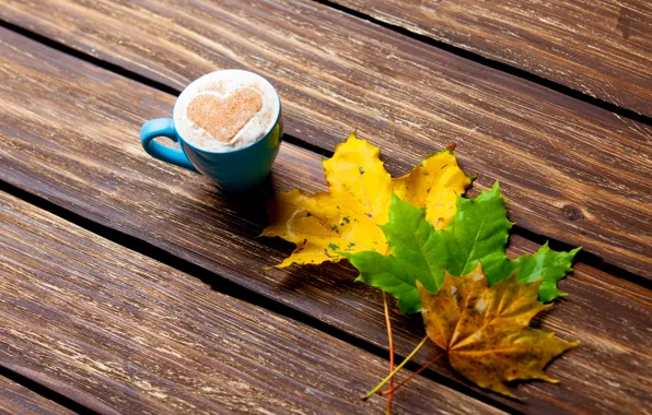 Leaves, heart, colorful, heart, wood, autumn, leaves, cup