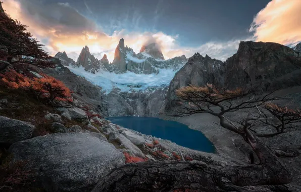 Trees, mountains, rocks, Andes, Patagonia