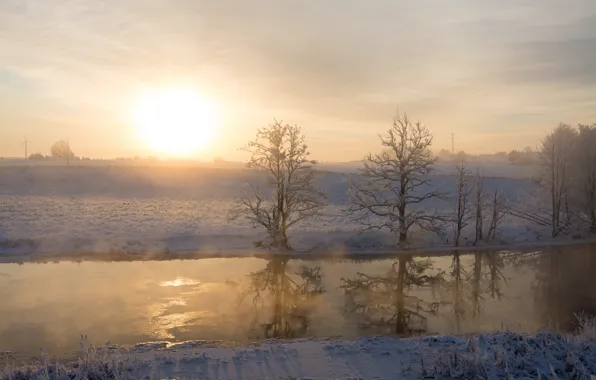 Winter, landscape, river, morning