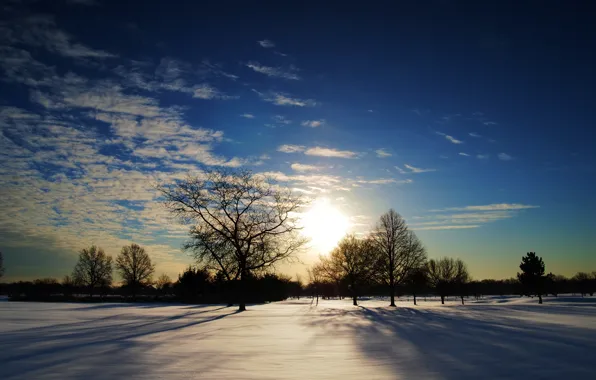 Winter, the sun, trees, sunset, horizon, shadows, sunshine, trees