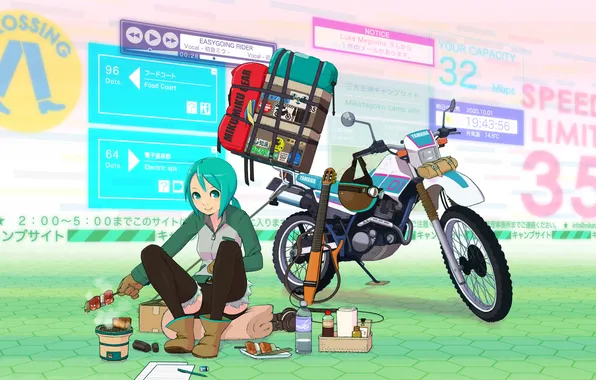 Girl, bottle, guitar, food, art, motorcycle, helmet, bag