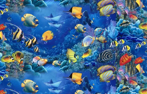 Picture sea, fish, blue, aquarium, beautiful, Let, Christian Riese
