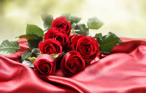 Picture flowers, background, foliage, roses, bouquet, buds, Atlas