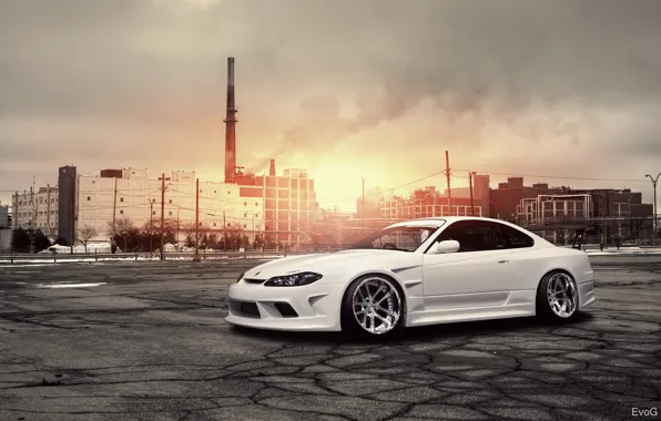 Wallpaper the sun, plant, white, S15, Silvia, Nissan, white, Blik for ...