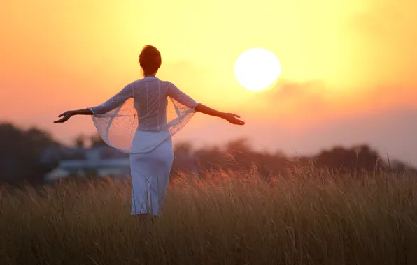Picture field, summer, girl, the sun, sunset