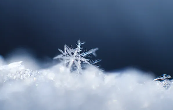 Crystal, macro, snow, pattern, snowflake