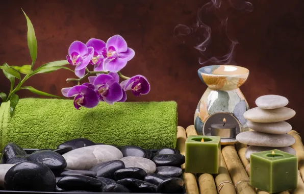Flowers, stones, candles, bamboo, relax, Orchid, flowers, Spa