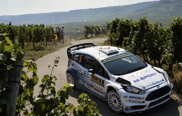 Ford, Ford, Germany, WRC, Fiesta, Elfyn Evans, The vineyards