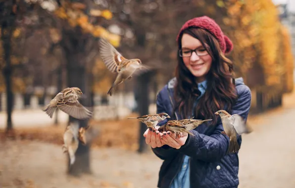 Picture girl, birds, sparrows