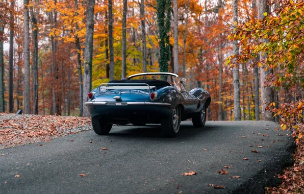 Jaguar, 1957, rear view, XKSS, Jaguar XKSS