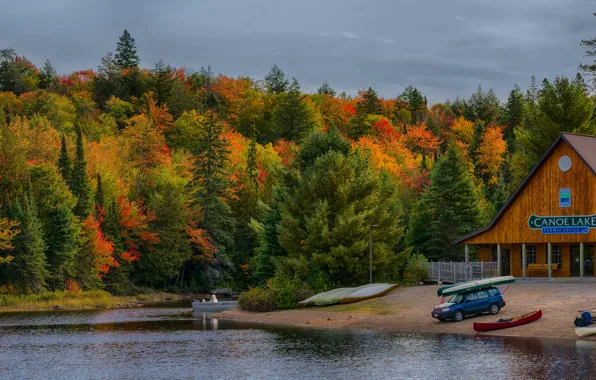 Machine, auto, autumn, forest, trees, lake, shore, boat