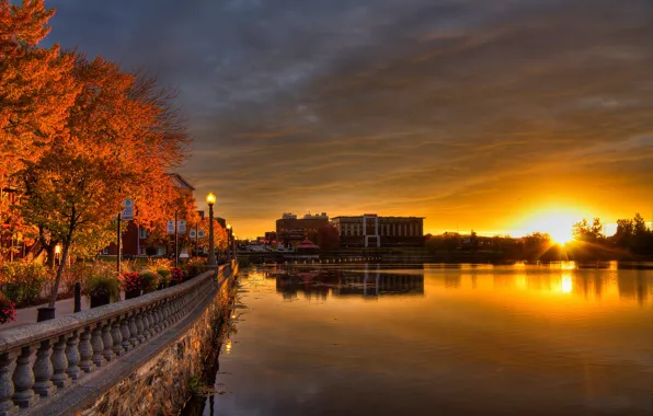 Picture autumn, the sky, the sun, trees, flowers, lights, river, dawn