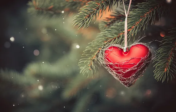 Love, romance, heart, New Year, Christmas, love, christmas, happy
