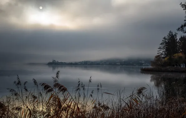 The sky, grass, landscape, morning, pond