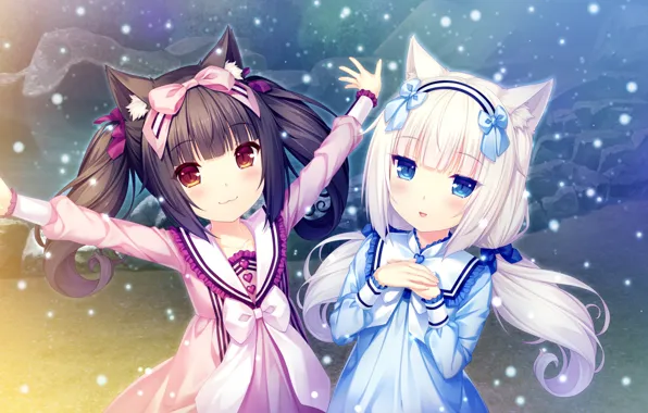 Girls, Nekopara, Pussies