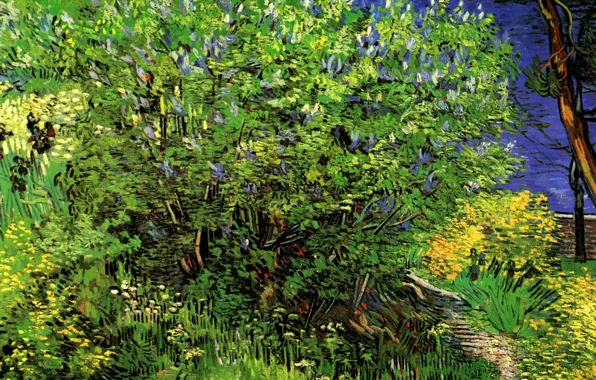 Picture grass, Bush, Vincent van Gogh, Lilacs