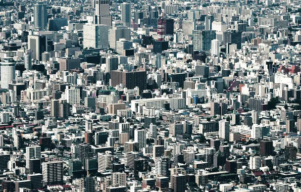 The city, building, Japan, megapolis